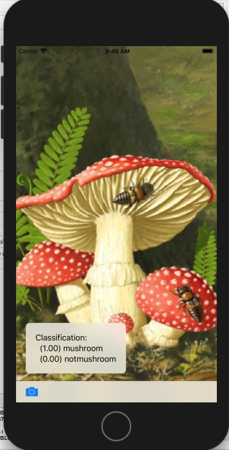 mushroom_app.png